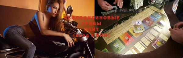 apvp Алексеевка