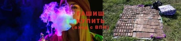 гашик Алексин