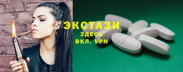 гашик Алексин