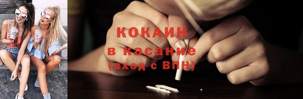 гашик Алексин