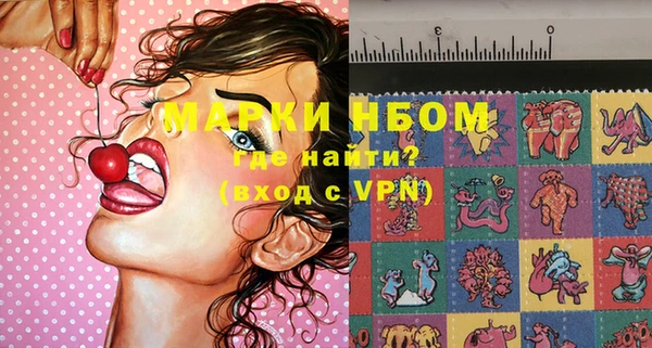 гашик Алексин