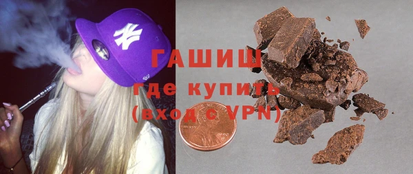 гашик Алексин