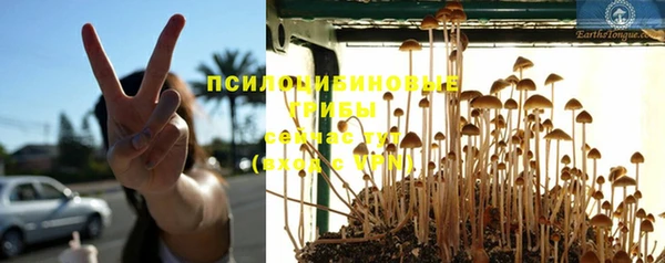 таблы Алзамай