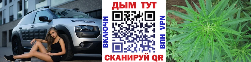 Бошки марихуана THC 21%  где купить   Игра 